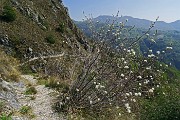 Anello del Pizzo di Spino il 21 aprile 2015  - FOTOGALLERY